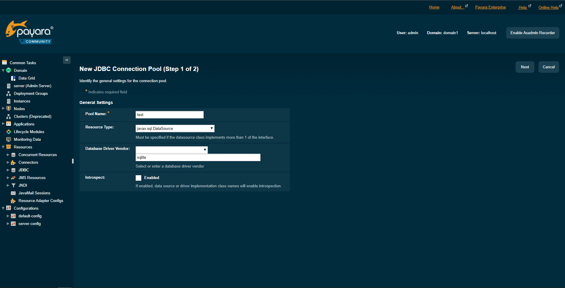 Payara JDBC New Connection Poolページ